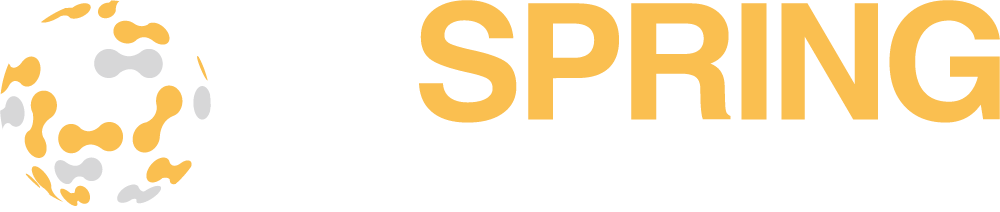 Ip Spring logo